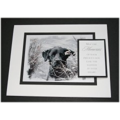 Dog Sympathy Card - Willy 39